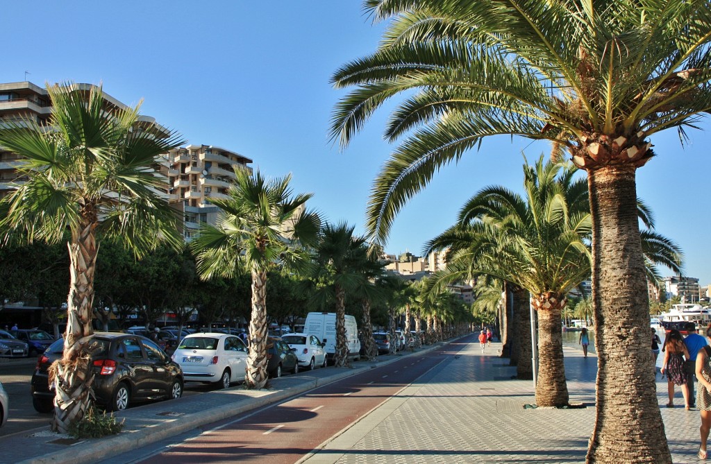Foto: Paseo Marítimo - Palma de Mallorca (Illes Balears), España