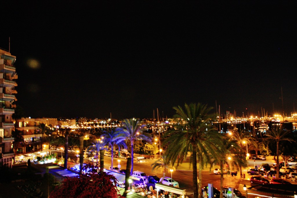Foto: Paseo Marítimo - Palma de Mallorca (Illes Balears), España