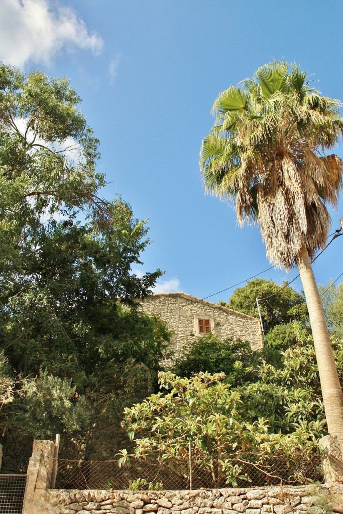 Foto: Vista del pueblo - Randa (Mallorca) (Illes Balears), España