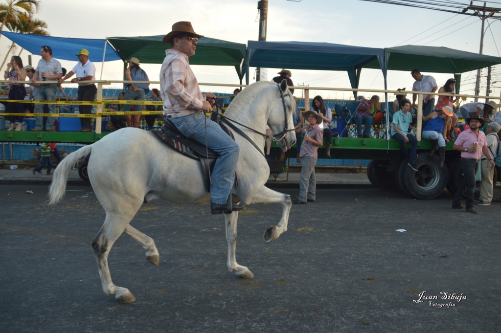 Foto de Cerro de la Muerte (Cartago), Costa Rica