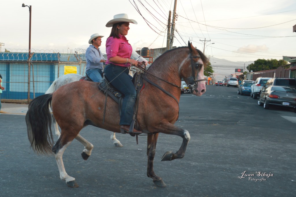Foto de Cerro de la Muerte (Cartago), Costa Rica