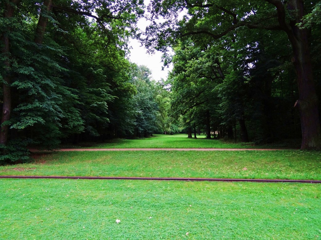 Foto: Großer Garten - Dresde (Saxony), Alemania
