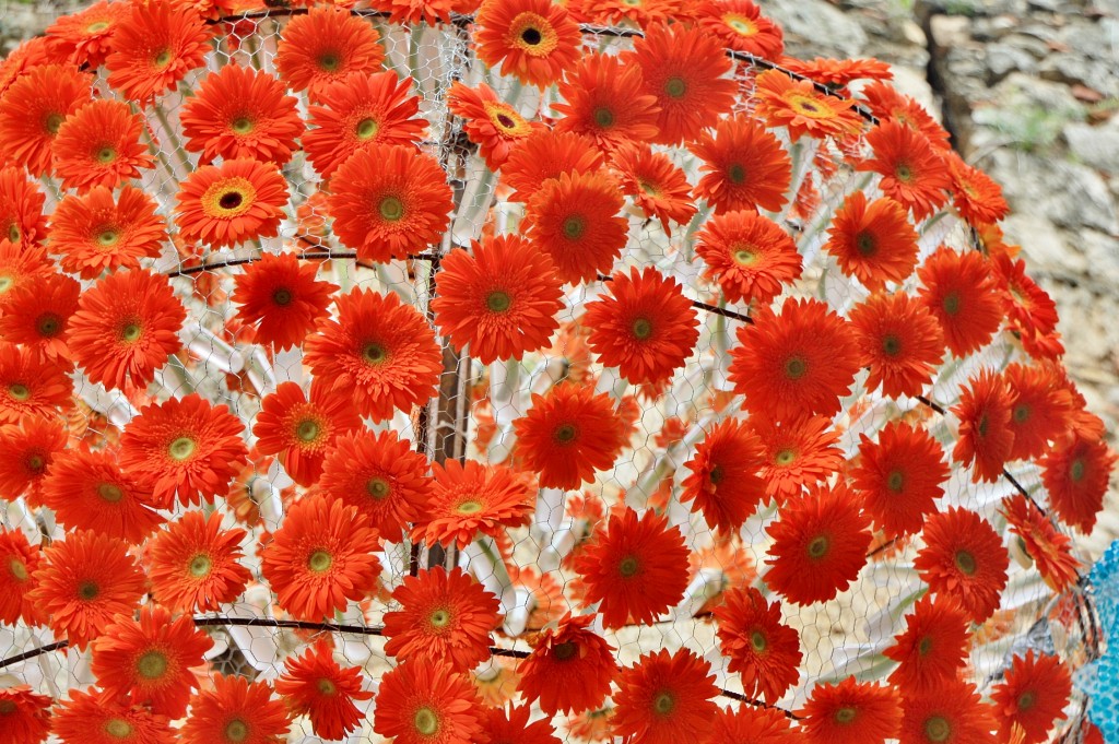 Foto: Exposición Girona temps de flors - Girona (Cataluña), España