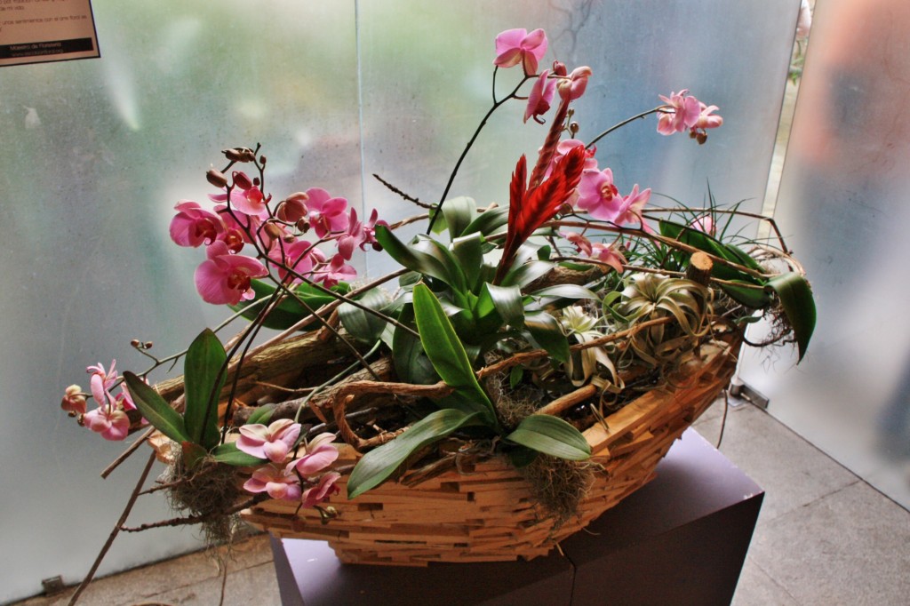 Foto: Exposición Girona temps de flors - Girona (Cataluña), España