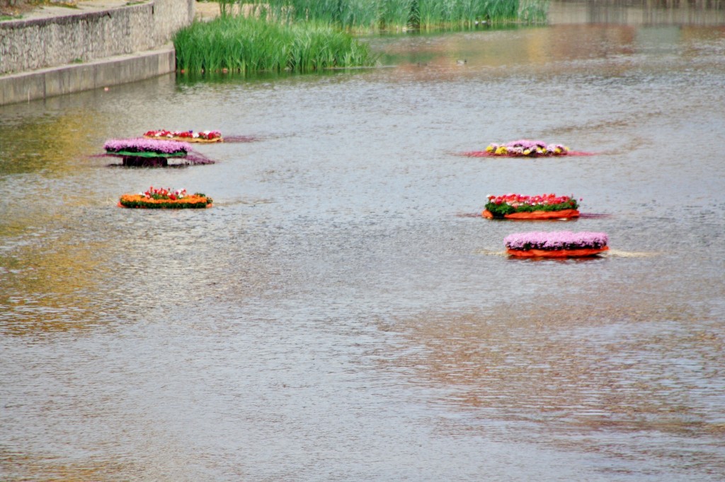 Foto: Exposición Girona temps de flors - Girona (Cataluña), España