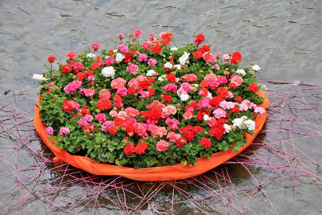 Foto: Exposición Girona temps de flors - Girona (Cataluña), España
