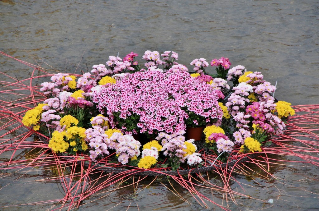 Foto: Exposición Girona temps de flors - Girona (Cataluña), España