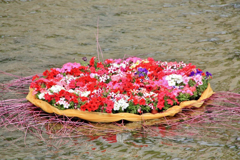Foto: Exposición Girona temps de flors - Girona (Cataluña), España