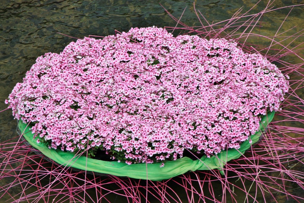 Foto: Exposición Girona temps de flors - Girona (Cataluña), España