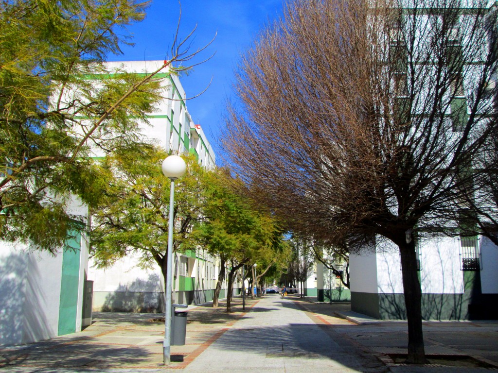 Foto: Calle Palmones - Cádiz (Andalucía), España