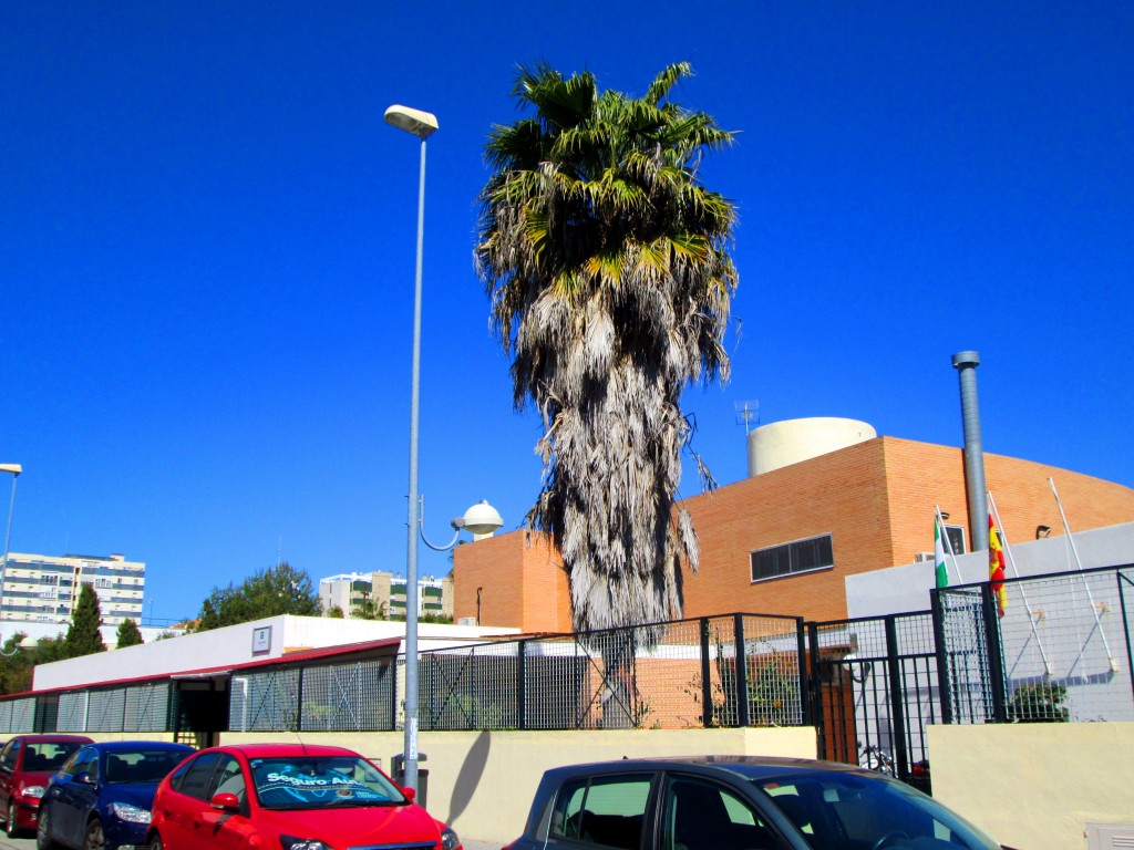 Foto: Guarderia Los Dálmatas - Cádiz (Andalucía), España