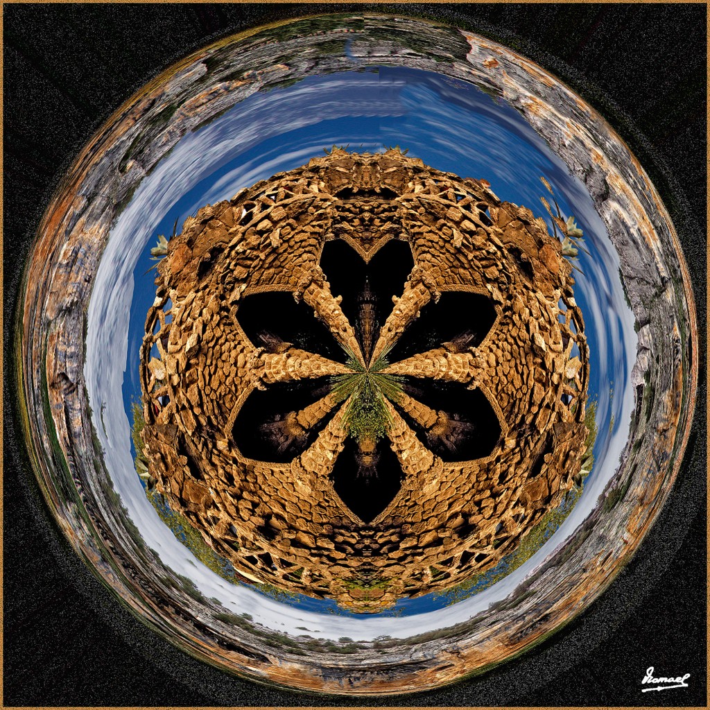 Foto: 150326 01 RIO LOBOS - Zaragoza (Aragón), España