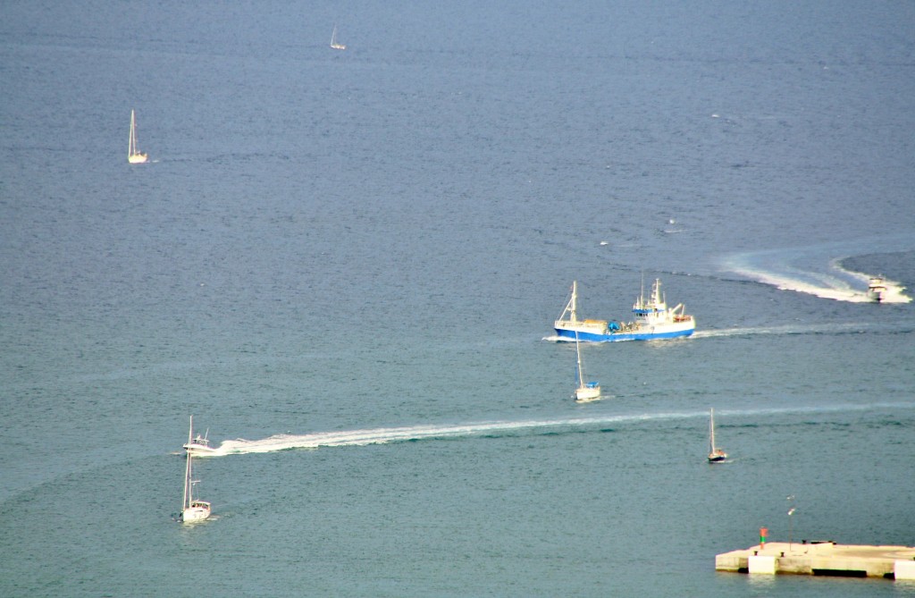 Foto: Vistas desde el castillo de Bellver - Palma de Mallorca (Illes Balears), España