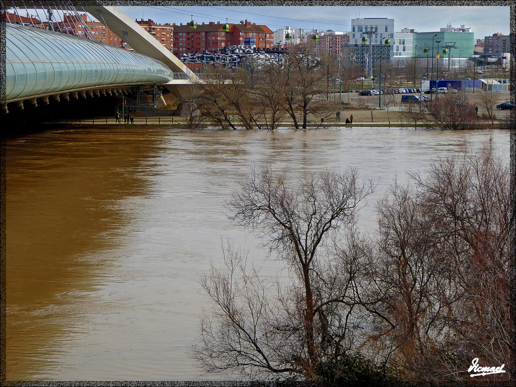Foto: 150228-11 EL EBRO EN RANILLAS - Zaragoza (Aragón), España