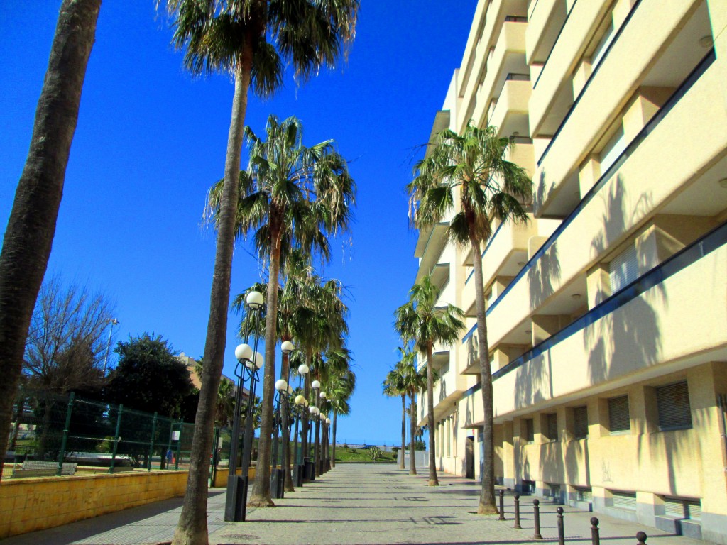 Foto: Calle Benalup - Cádiz (Andalucía), España