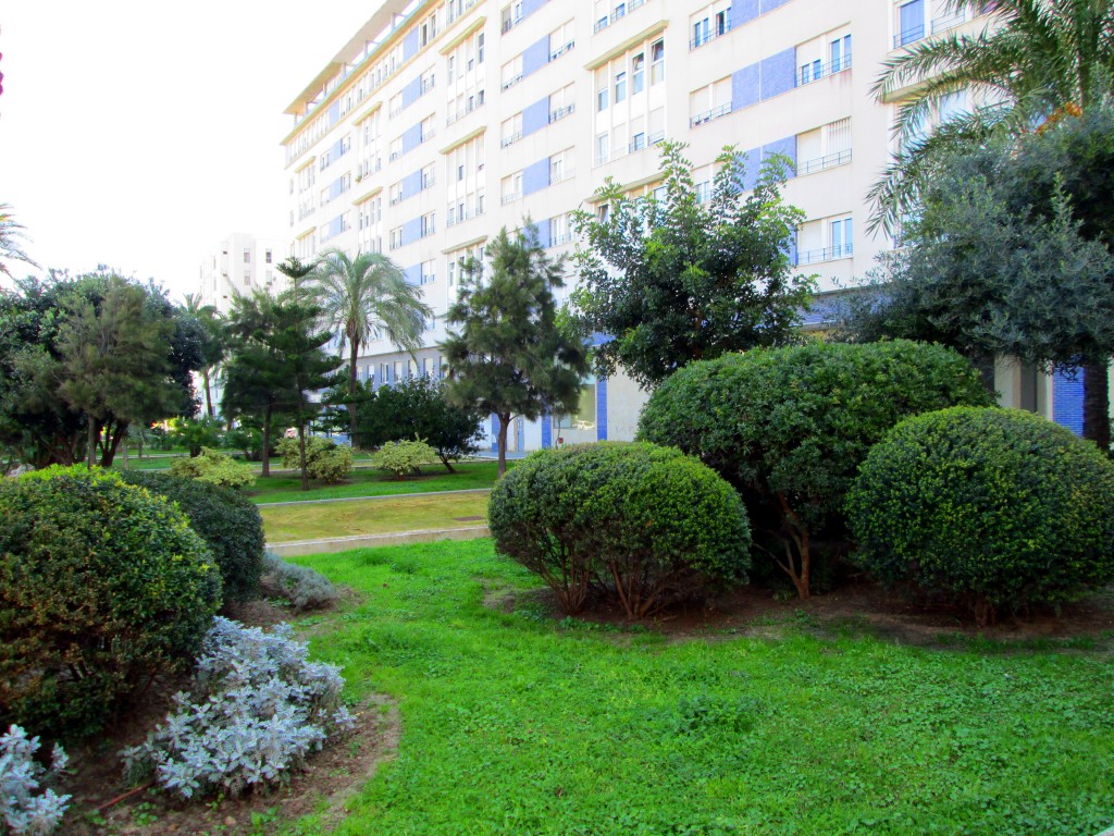 Foto: Jardines Avdª A Coruña - Cádiz (Andalucía), España