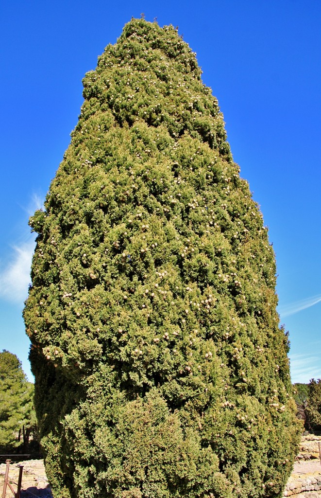 Foto: Ruinas griegas - L´Escala (Girona), España