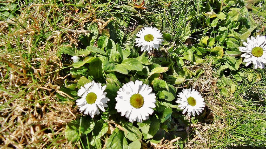 Foto: Un poco de color - L´Escala (Girona), España