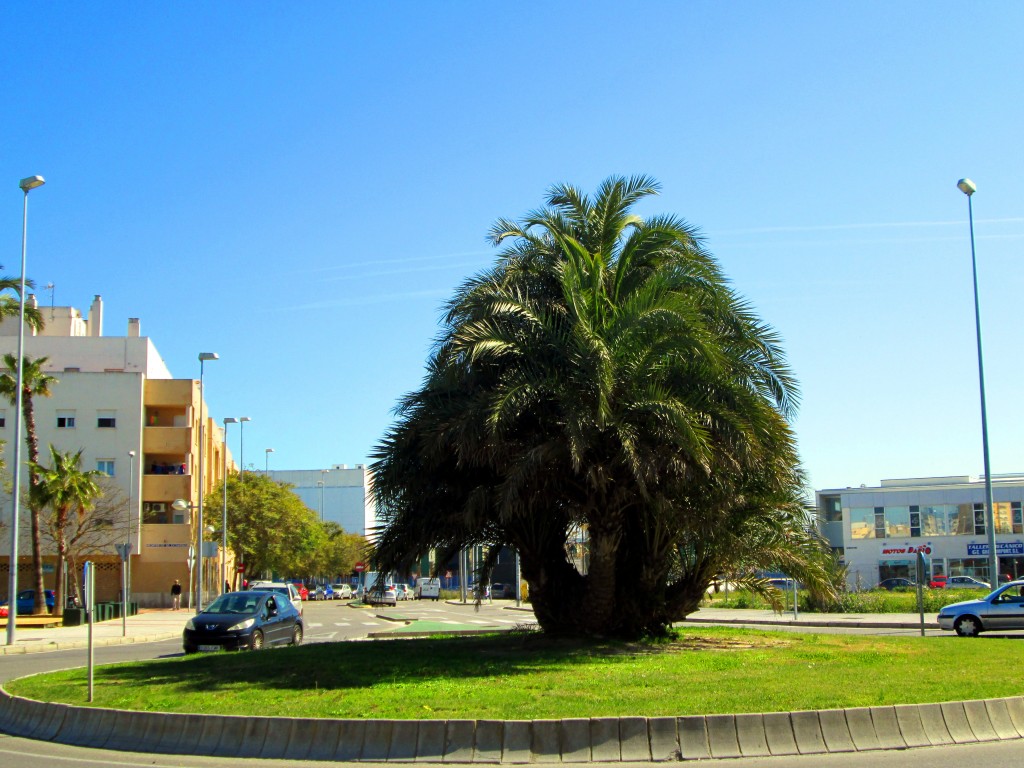 Foto: Rotonda en Avd.Ilustración - Cádiz (Andalucía), España