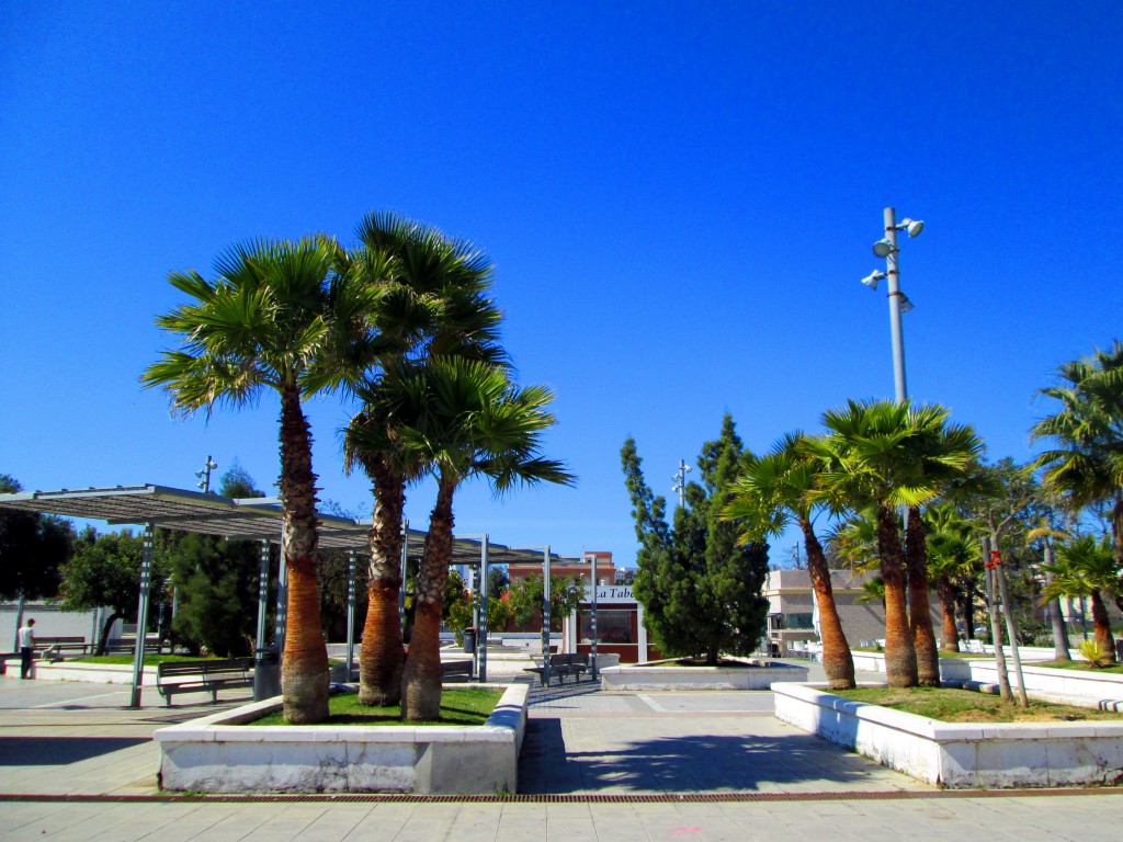 Foto: Parque de Loreto - Cádiz (Andalucía), España