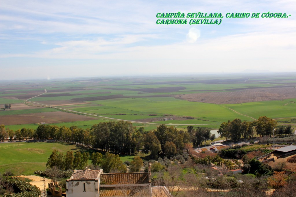 Foto de Carmona (Sevilla), España