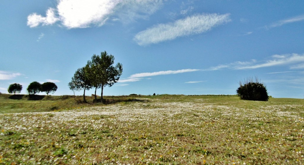 Foto: Ruinas de Empúries - L´Escala (Girona), España