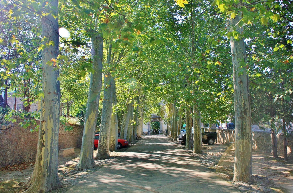 Foto: Jardines de Alfabia - Buñola (Mallorca) (Illes Balears), España