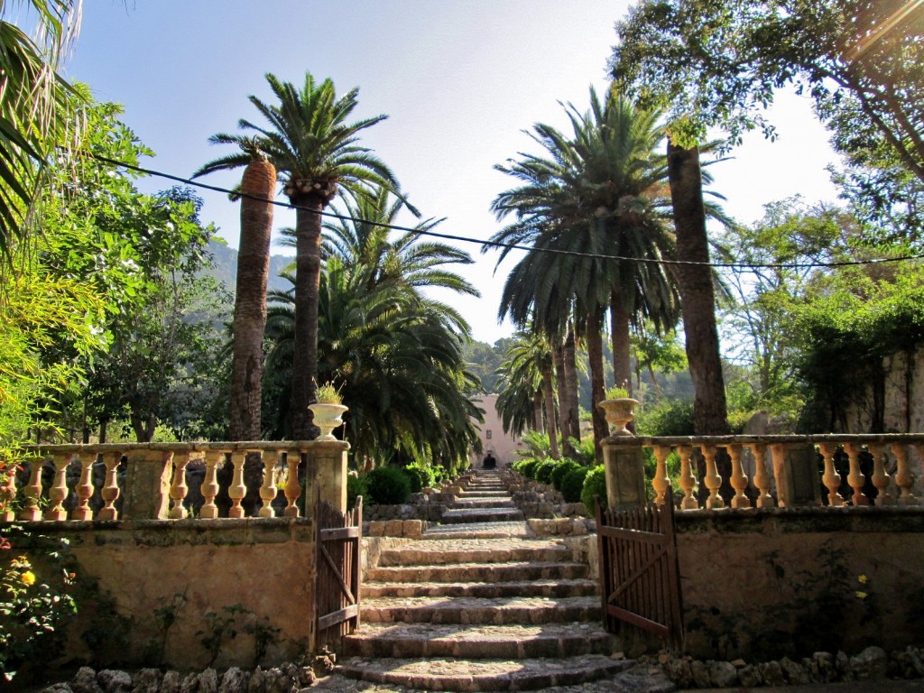 Foto: Jardines de Alfabia - Buñola (Mallorca) (Illes Balears), España