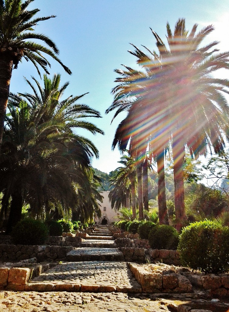 Foto: Jardines de Alfabia - Buñola (Mallorca) (Illes Balears), España
