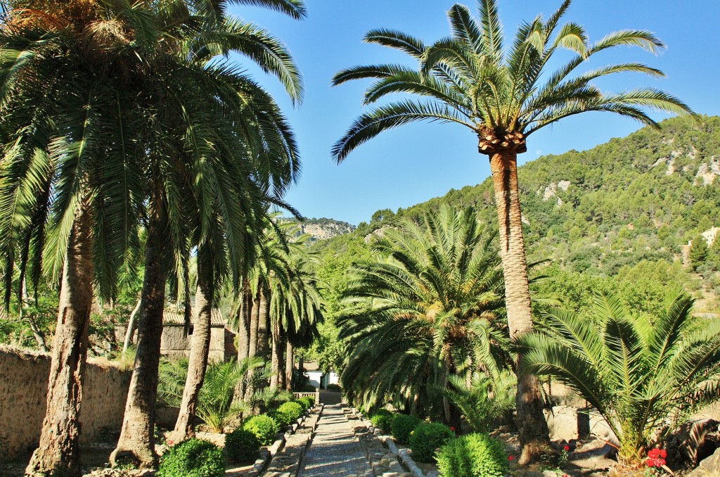 Foto: Jardines de Alfabia - Buñola (Mallorca) (Illes Balears), España