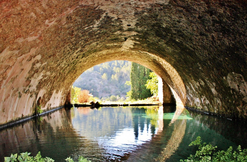 Foto: Jardines de Alfabia - Buñola (Mallorca) (Illes Balears), España