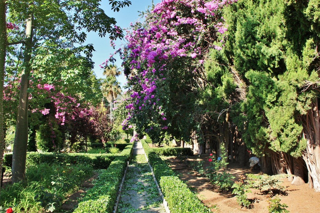 Foto: Jardines de Alfabia - Buñola (Mallorca) (Illes Balears), España