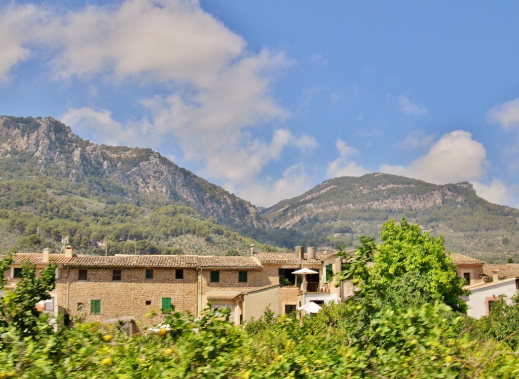 Foto: Vistas desde el tranvía - Soller (Mallorca) (Illes Balears), España