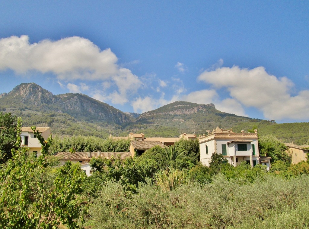 Foto: Vistas desde el tranvía - Soller (Mallorca) (Illes Balears), España