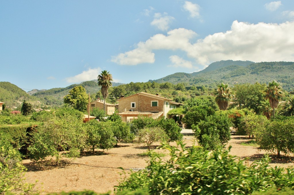 Foto: Vistas desde el tranvía - Soller (Mallorca) (Illes Balears), España