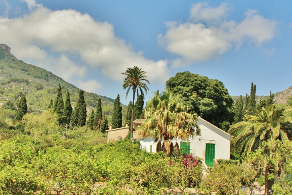 Foto: Vistas desde el tranvía - Soller (Mallorca) (Illes Balears), España
