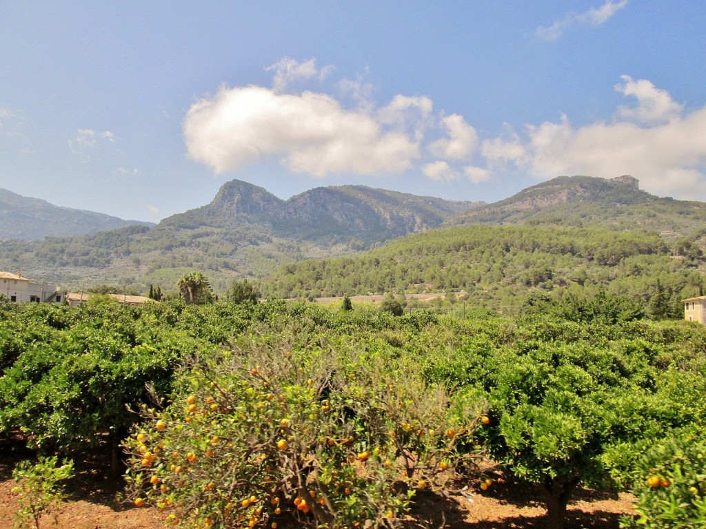 Foto: Vistas desde el tranvía - Soller (Mallorca) (Illes Balears), España