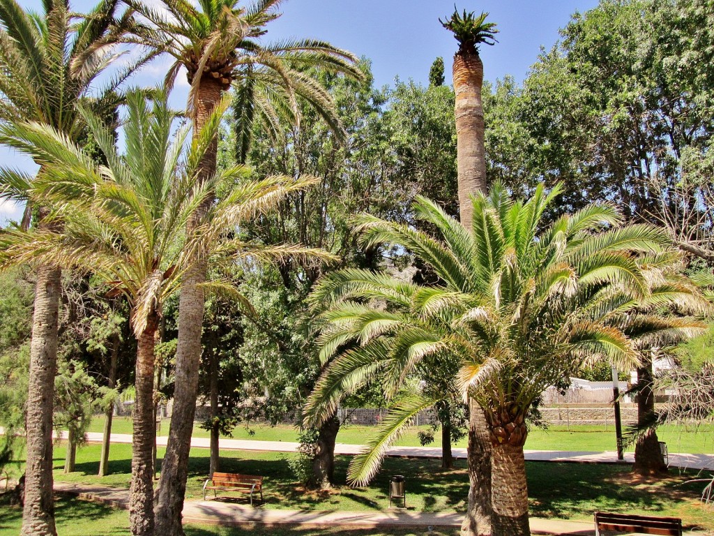 Foto: Vistas desde el tranvía - Soller (Mallorca) (Illes Balears), España