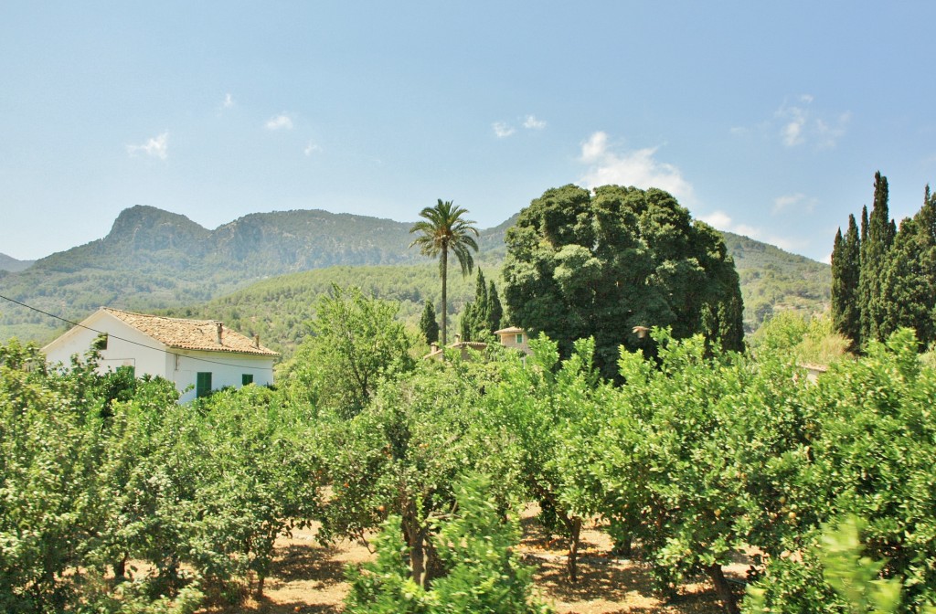 Foto: Vistas desde el tranvía - Soller (Mallorca) (Illes Balears), España