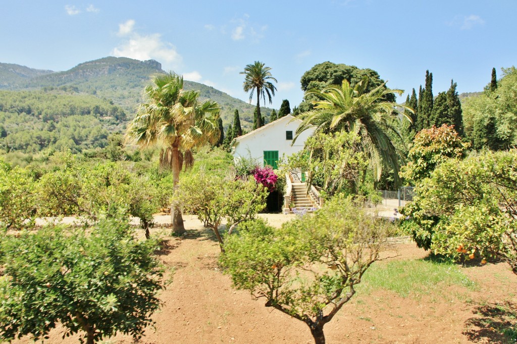 Foto: Vistas desde el tranvía - Soller (Mallorca) (Illes Balears), España