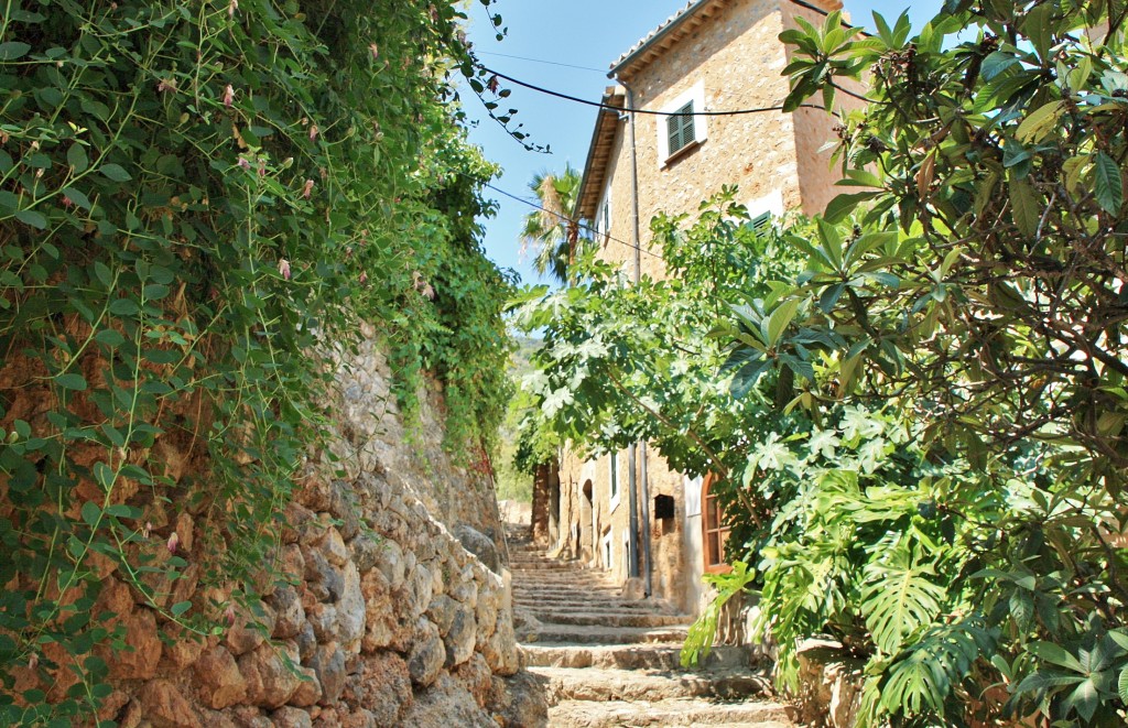 Foto: Centro histórico - Fornalutx (Mallorca) (Illes Balears), España