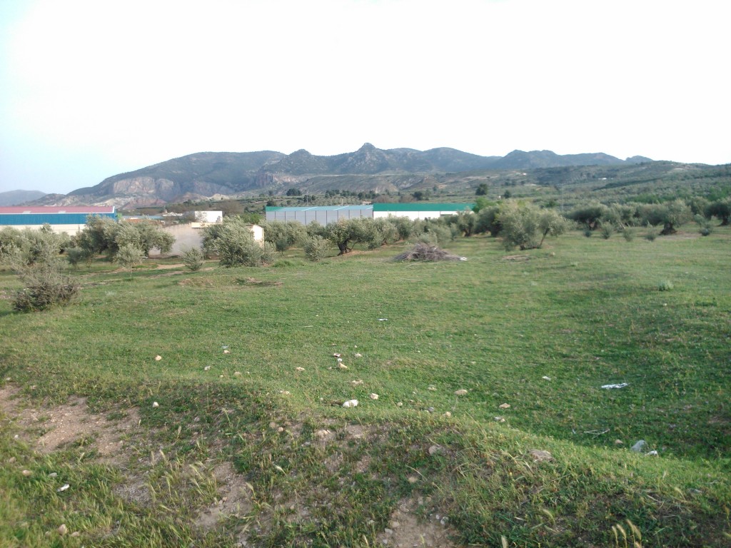 Foto de Pozo Alcon (Jaén), España