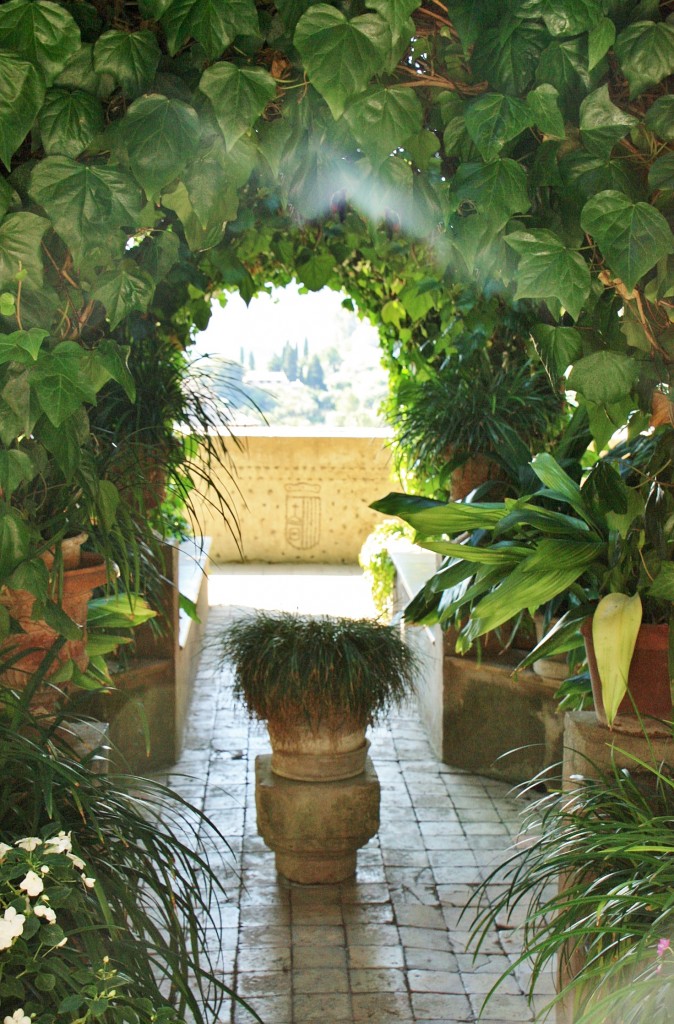 Foto: Cartuja - Valldemossa (Mallorca) (Illes Balears), España