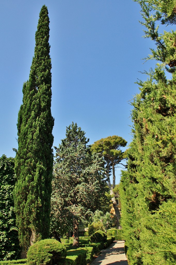 Foto: Centro histórico - Valldemossa (Mallorca) (Illes Balears), España