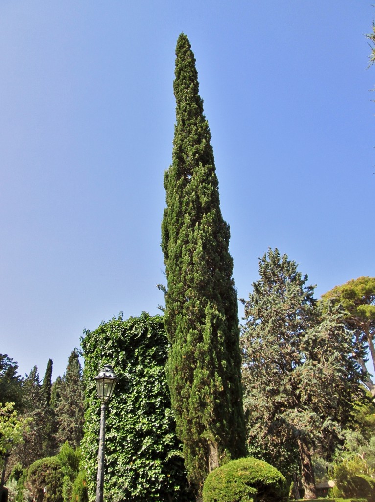 Foto: Centro histórico - Valldemossa (Mallorca) (Illes Balears), España