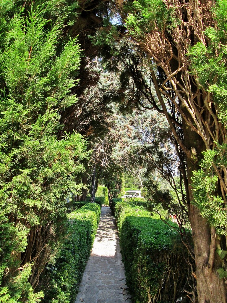 Foto: Centro histórico - Valldemossa (Mallorca) (Illes Balears), España
