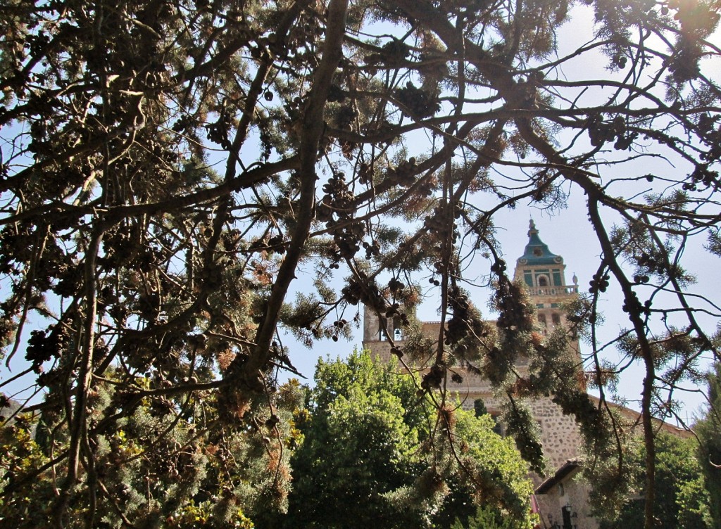 Foto: Centro histórico - Valldemossa (Mallorca) (Illes Balears), España