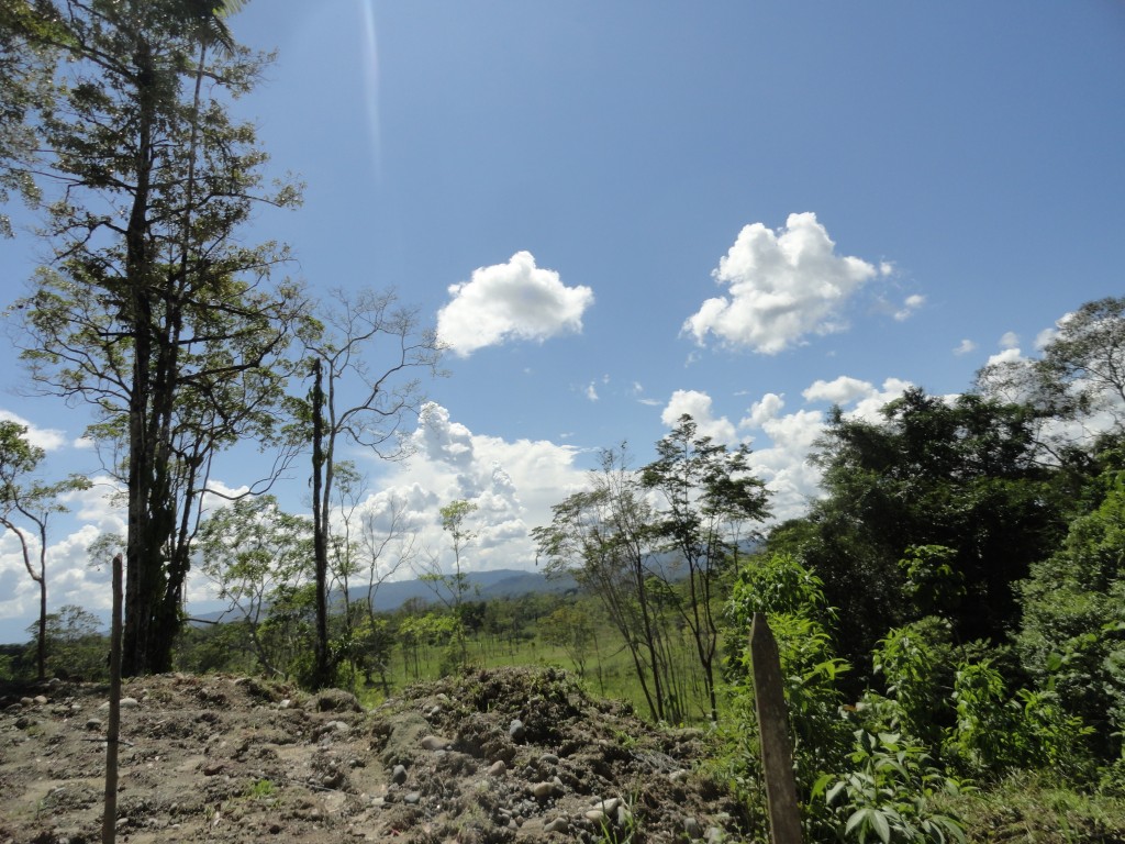 Foto: paisaje - Ahuano (Napo), Ecuador