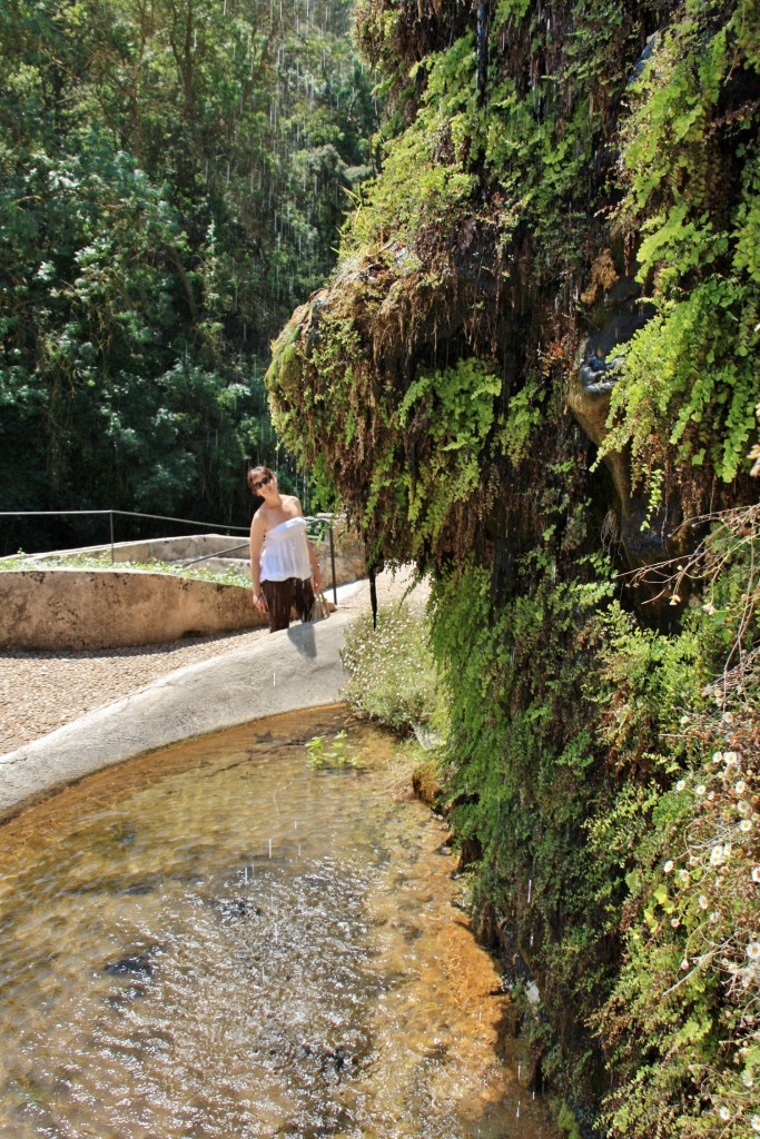 Foto: La Granja - Esporles (Mallorca) (Illes Balears), España
