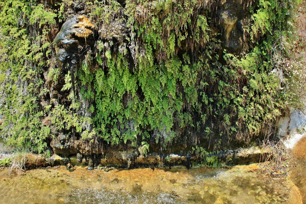 Foto: La Granja - Esporles (Mallorca) (Illes Balears), España